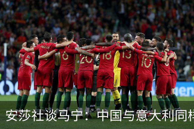 安莎社谈马宁：中国与意大利同样无缘世界杯，这位裁判被球迷追捧